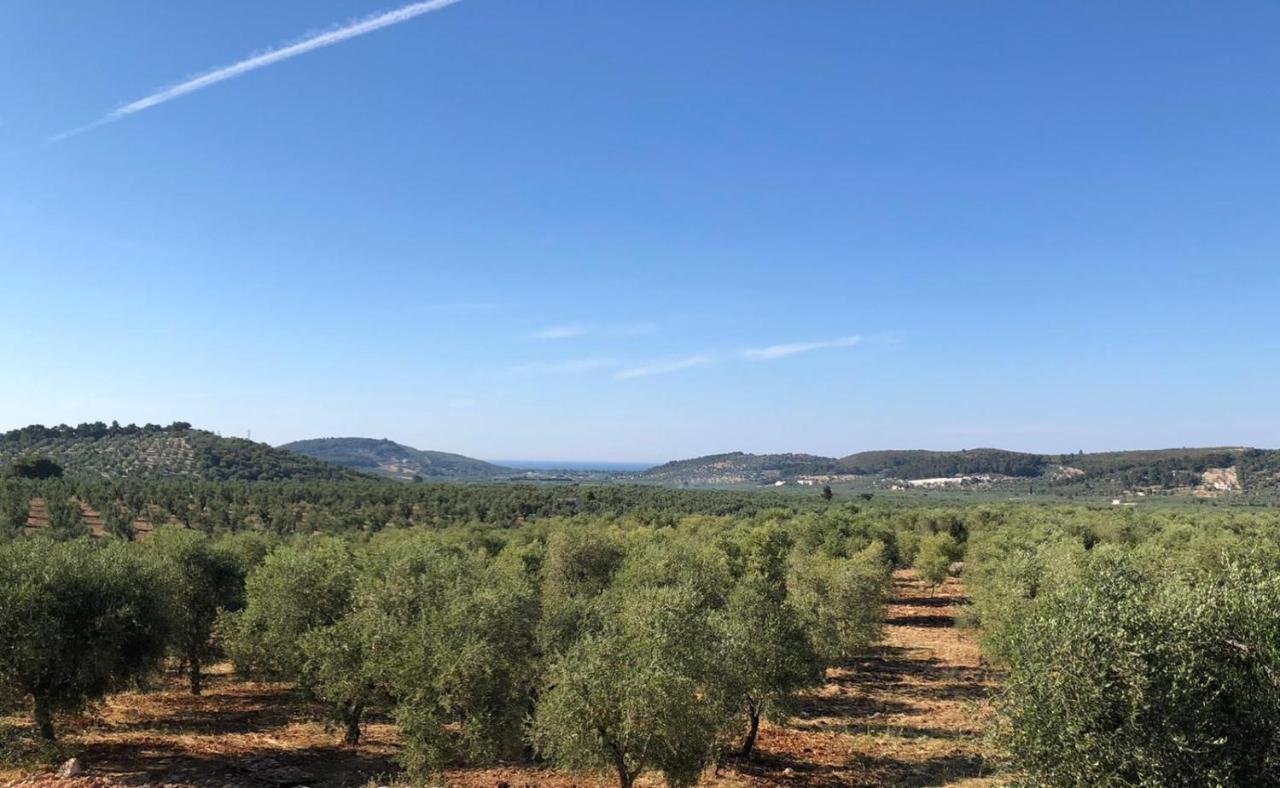 ויאסטה Borgo Rosoli מראה חיצוני תמונה