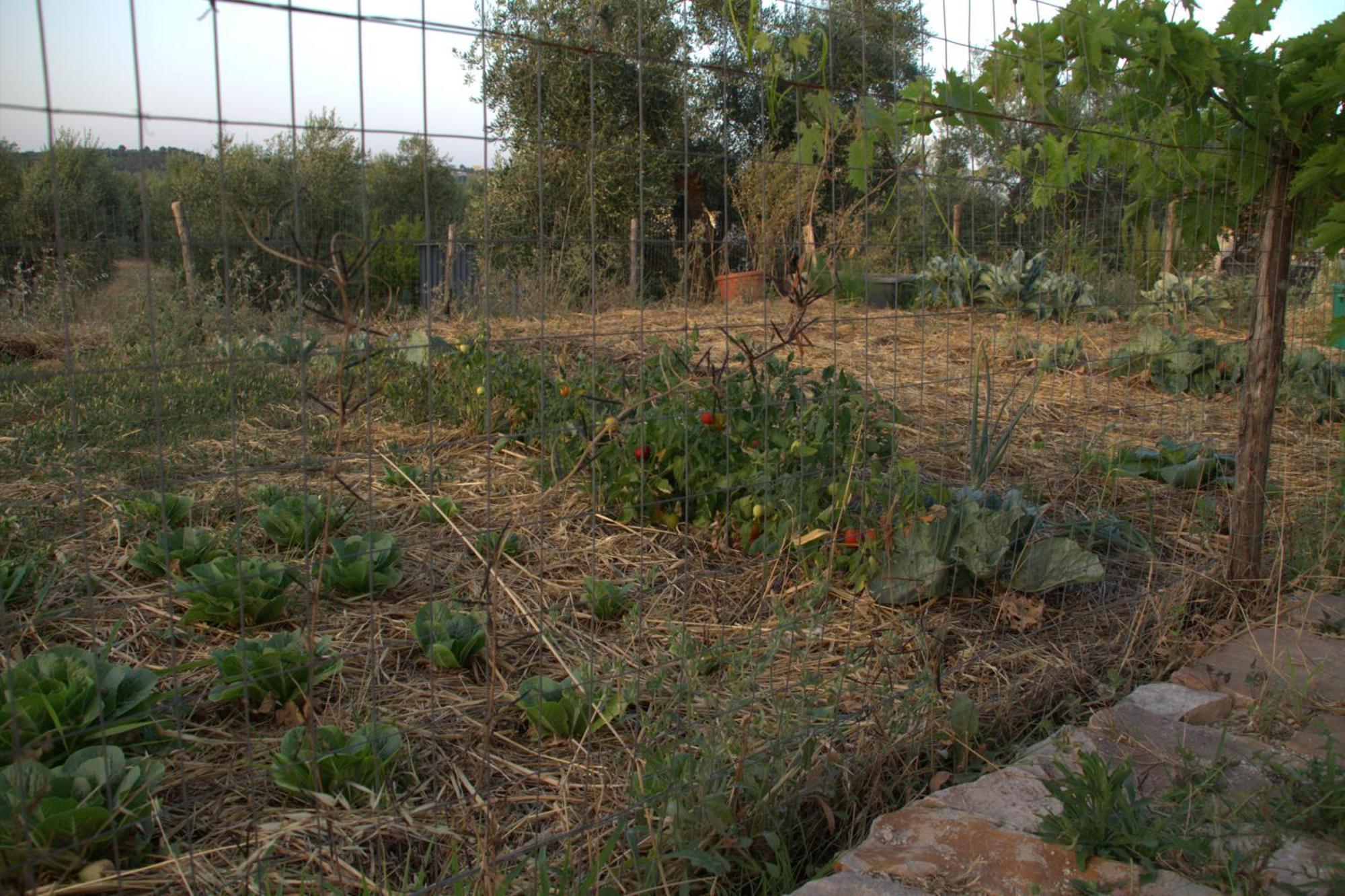 ויאסטה Borgo Rosoli מראה חיצוני תמונה