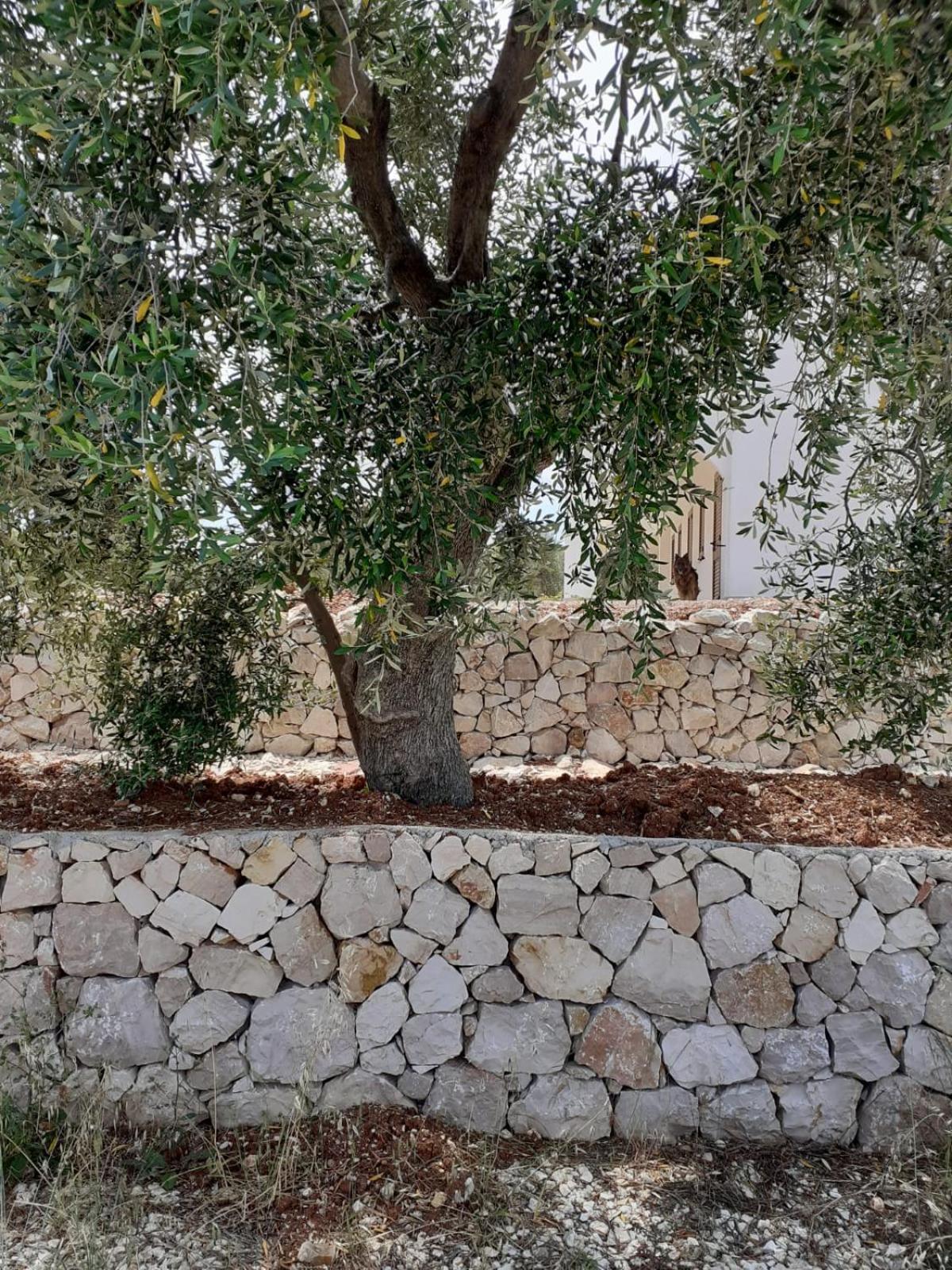 ויאסטה Borgo Rosoli מראה חיצוני תמונה