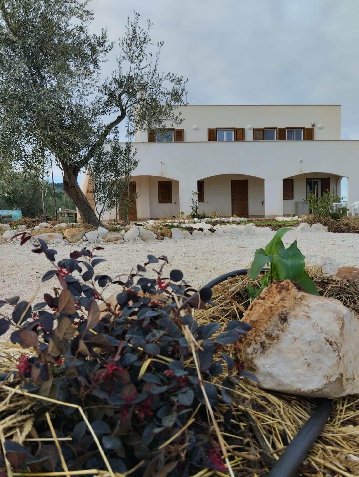ויאסטה Borgo Rosoli מראה חיצוני תמונה