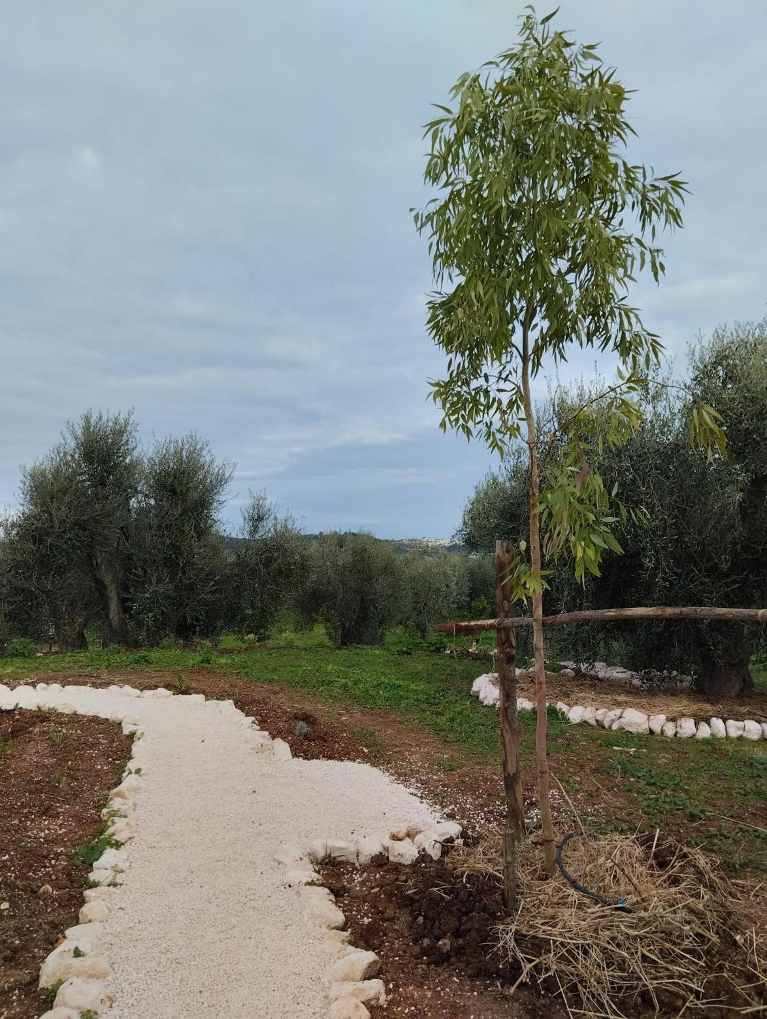 ויאסטה Borgo Rosoli מראה חיצוני תמונה