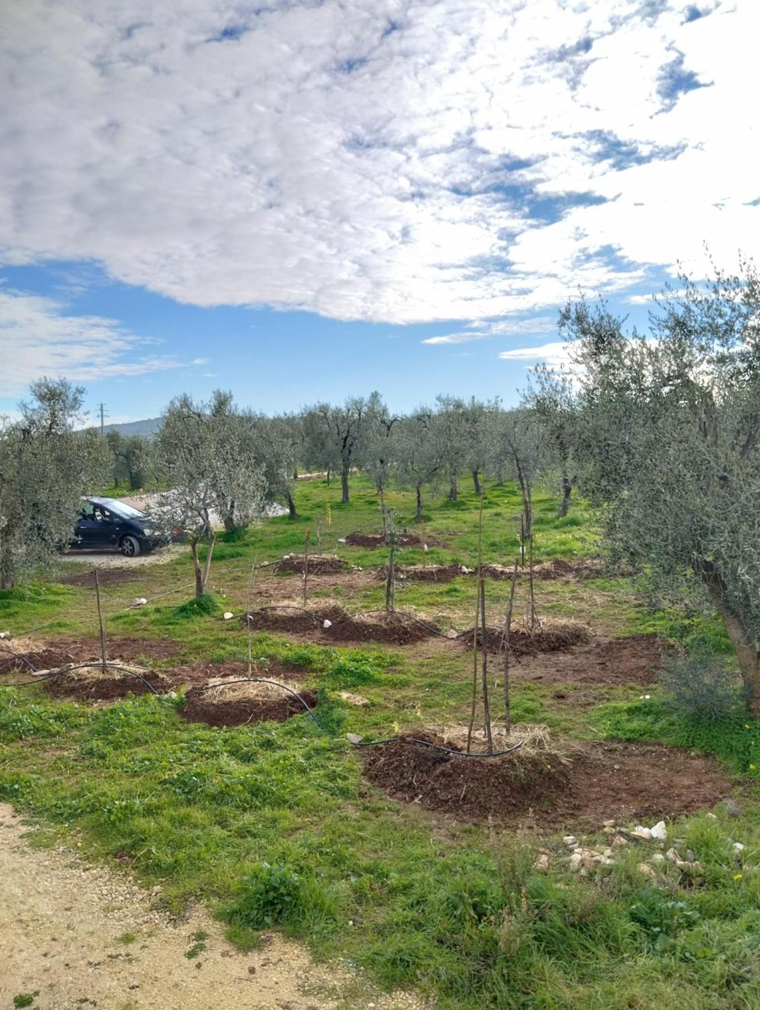 ויאסטה Borgo Rosoli מראה חיצוני תמונה