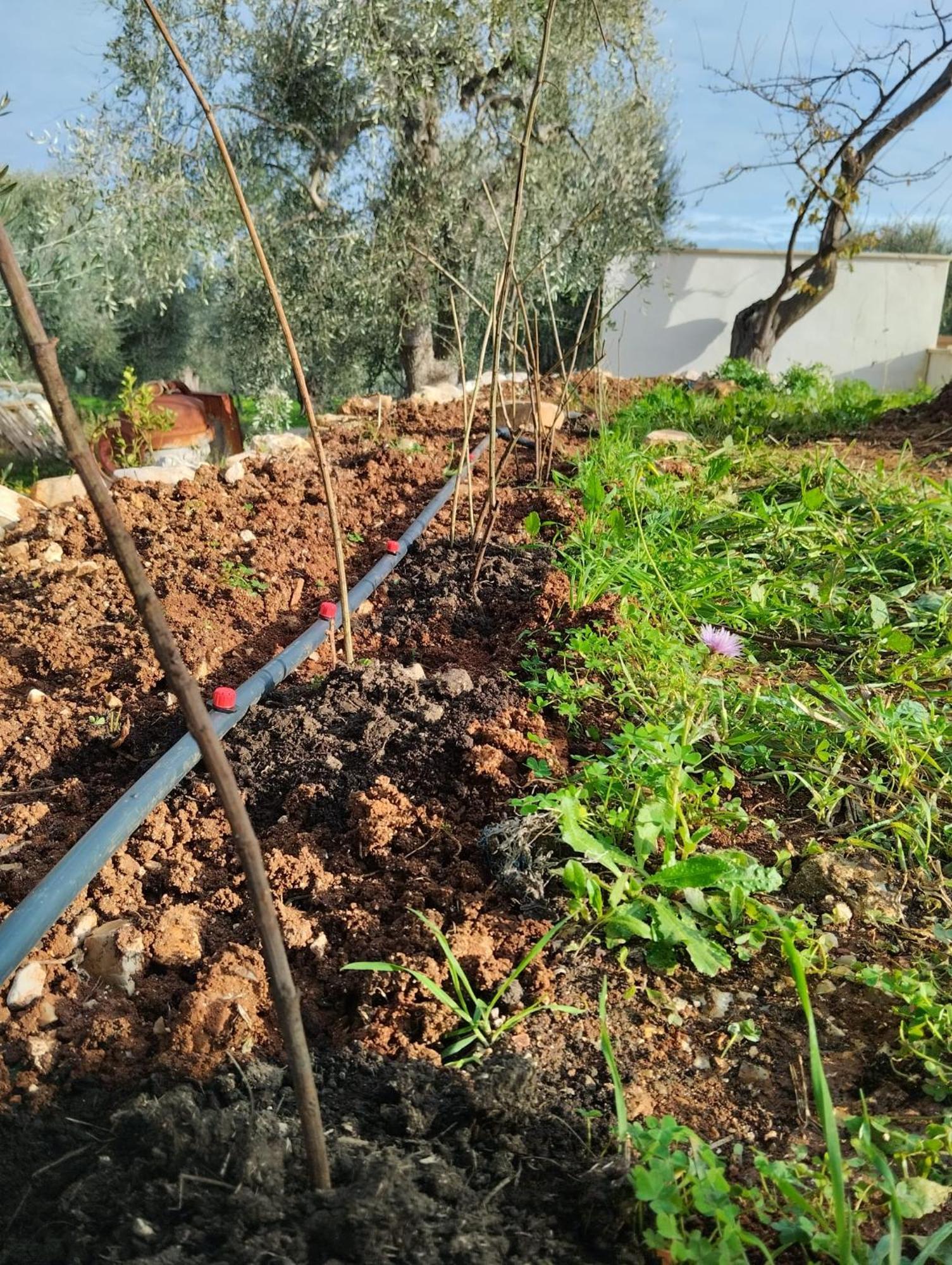 ויאסטה Borgo Rosoli מראה חיצוני תמונה